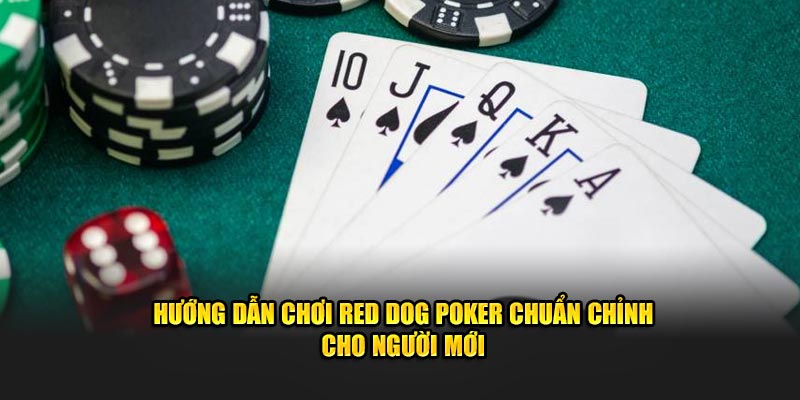 Hướng Dẫn Chơi Red Dog Poker Chuẩn Chỉnh Cho Người Mới